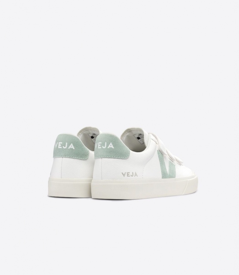 Men's Veja Recife Chromefree Leather White/Green | 0948-SFBYJ